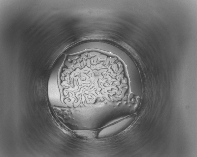 X0000072511337200607290122