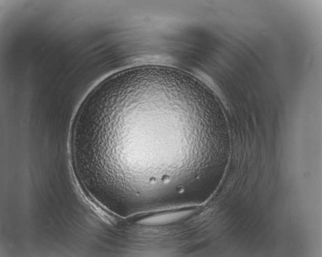 X0000072511339200607290122