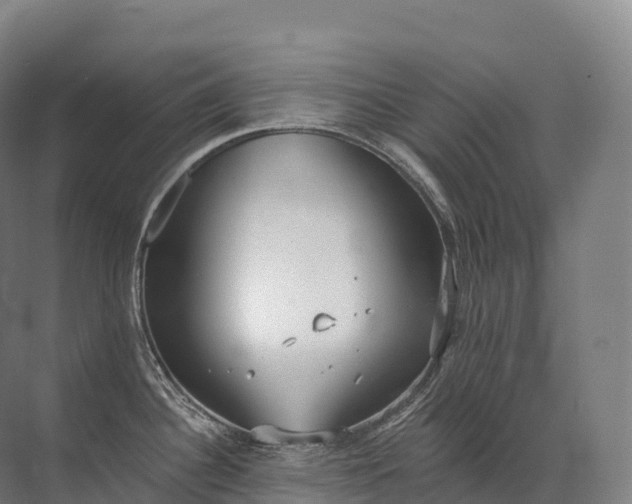 X0000072511340200607290122