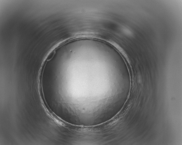 X0000072511341200607290122