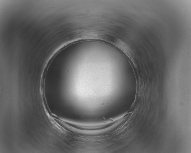 X0000072511342200607290122