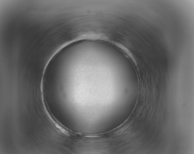 X0000072511343200607290122