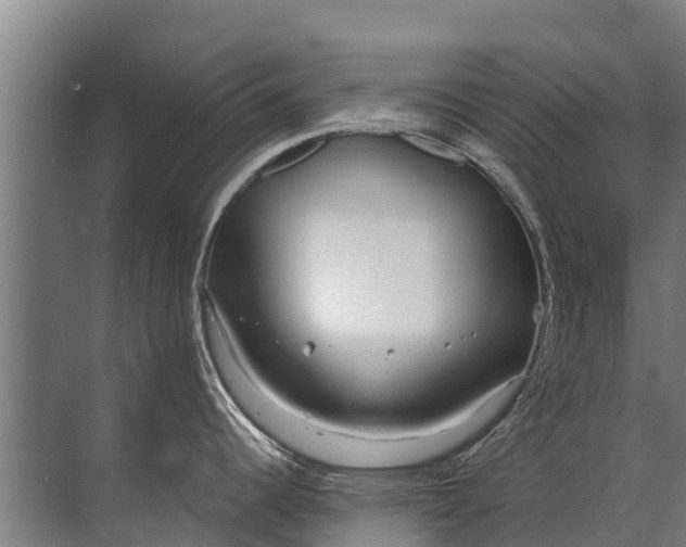 X0000072511344200607290122