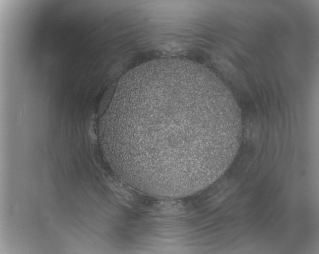 X0000072511346200607290122