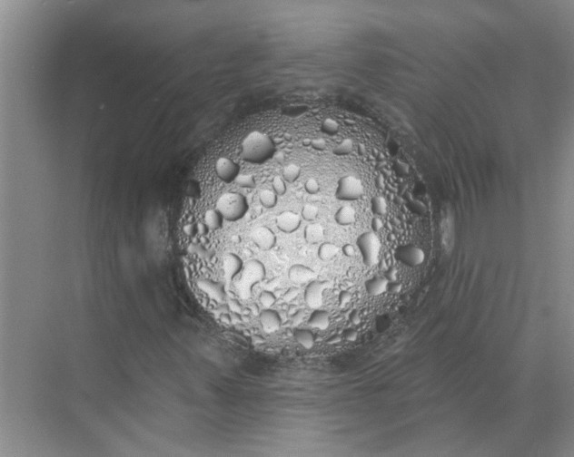 X0000072511347200607290122