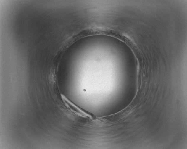 X0000072511348200607290122