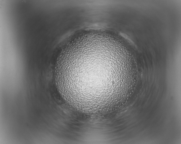 X0000072511350200607290121