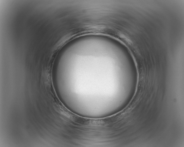 X0000072511354200607290121