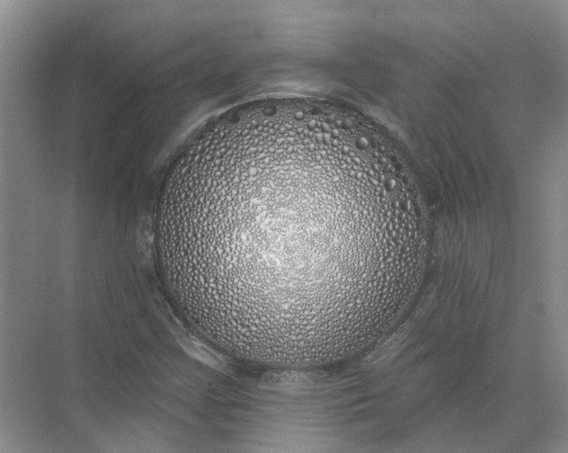 X0000072511355200607290121