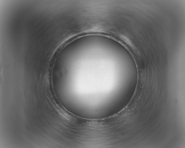 X0000072511356200607290121