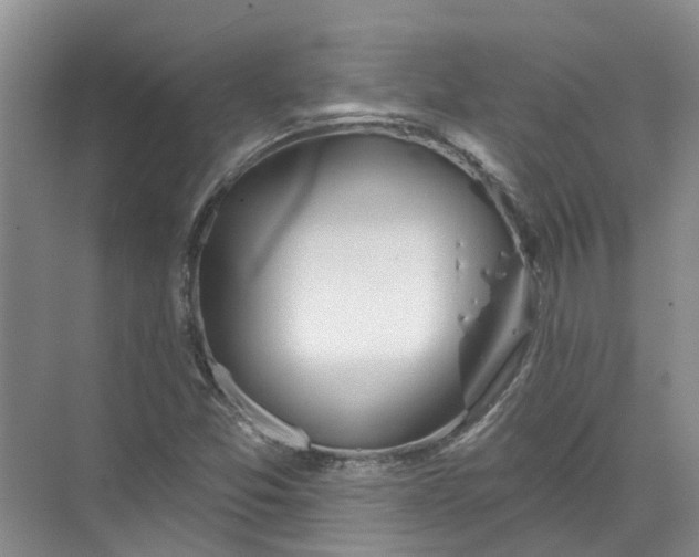 X0000072511357200607290121