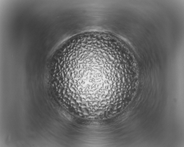 X0000072511359200607290121