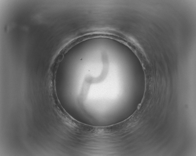 X0000072511360200607290121