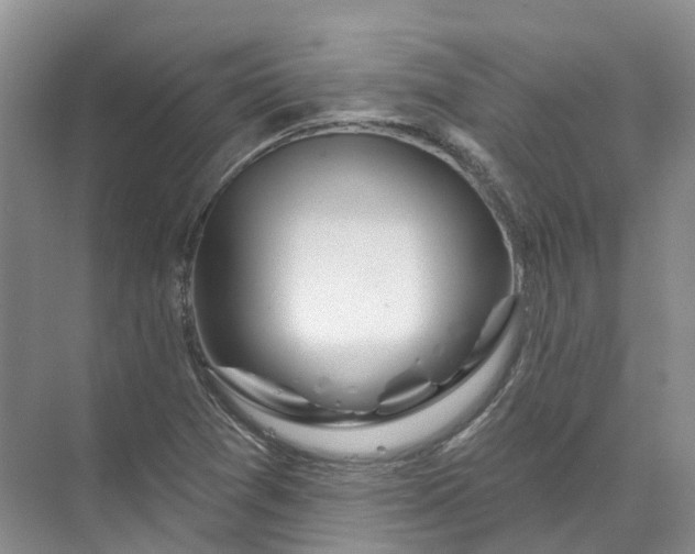 X0000072511361200607290121