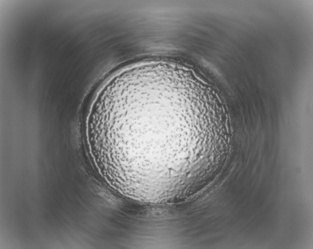 X0000072511362200607290121