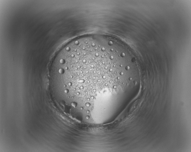 X0000072511363200607290121