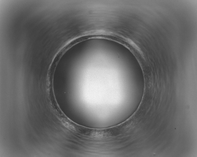 X0000072511364200607290121