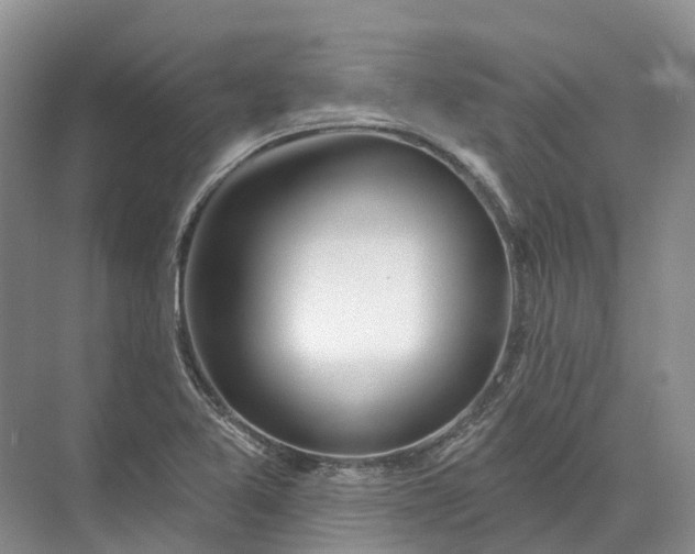 X0000072511365200607290121