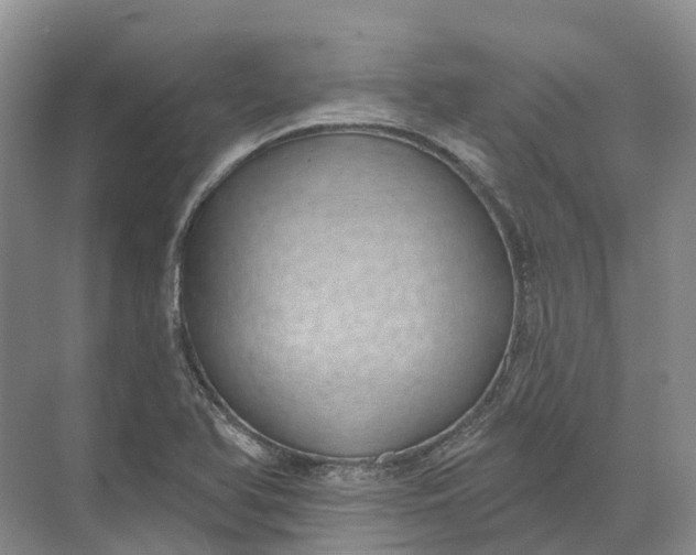 X0000072511366200607290121