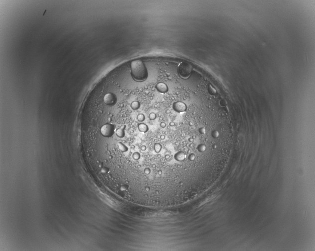 X0000072511367200607290121