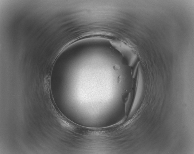 X0000072511369200607290121