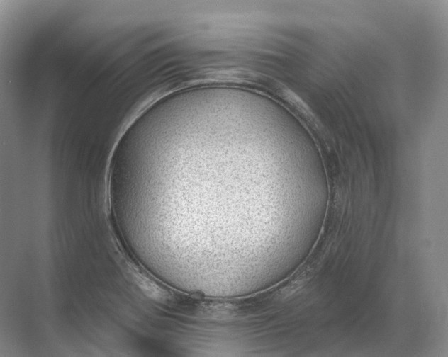 X0000072511370200607290121