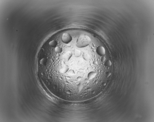 X0000072511371200607290121