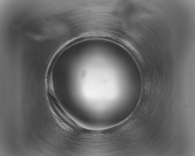 X0000072511372200607290121