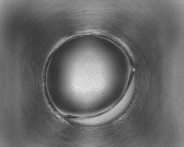 X0000072511373200607290121