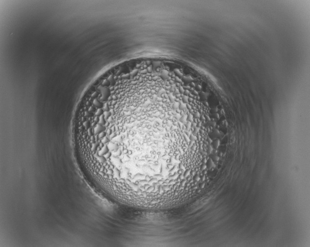 X0000072511375200607290121