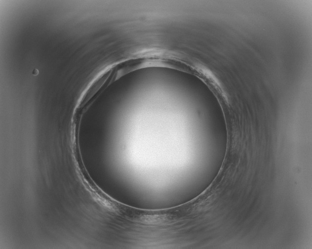 X0000072511376200607290121