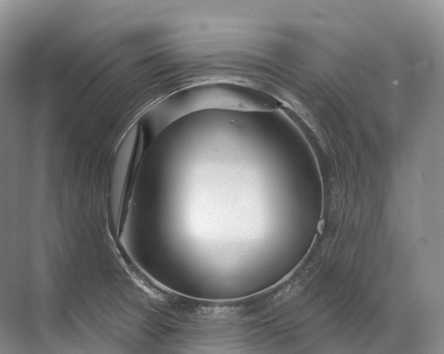 X0000072511377200607290121