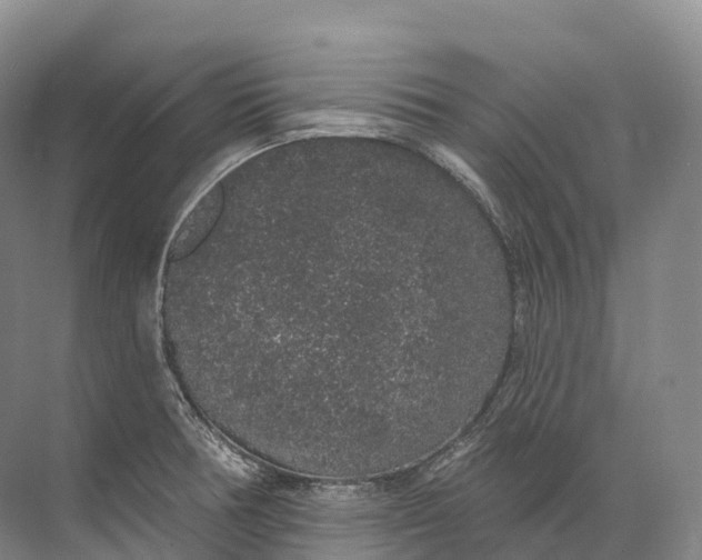 X0000072511378200607290121