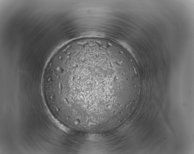 X0000072511379200607290121