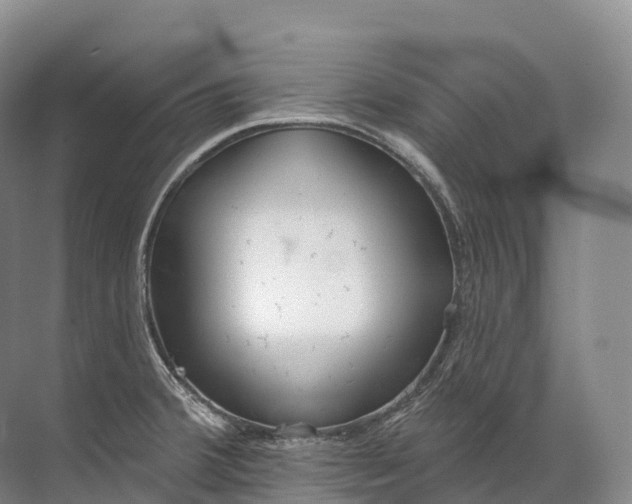 X0000072511380200607290121