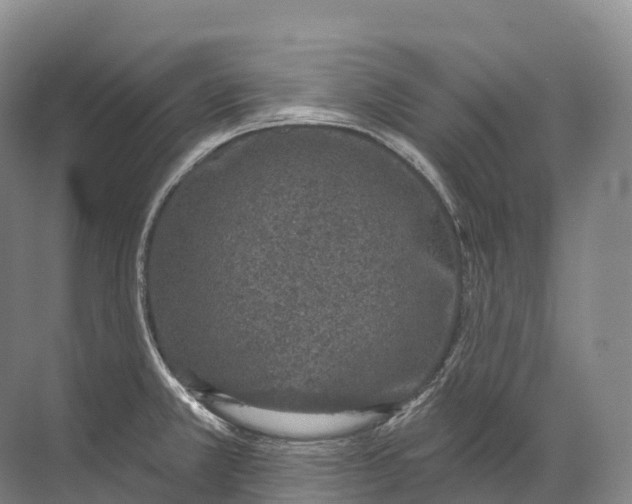 X0000072511381200607290121