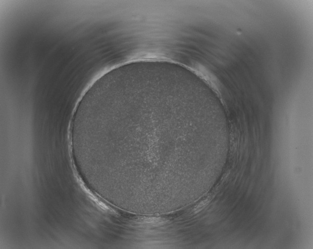 X0000072511382200607290121