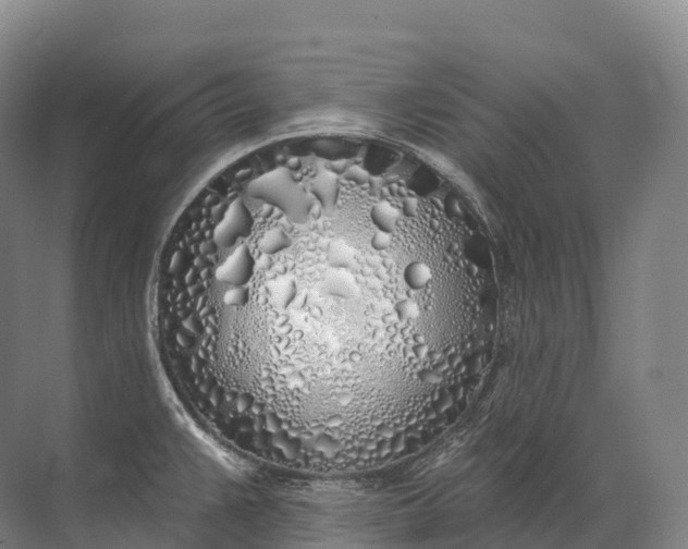 X0000072511383200607290121