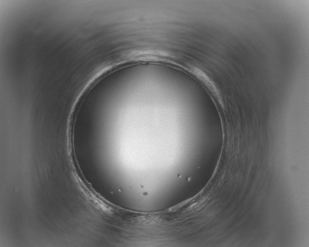 X0000072511384200607290121