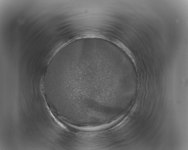 X0000072511385200607290121