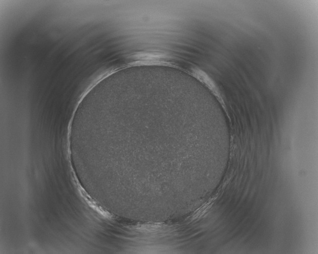 X0000072511386200607290121