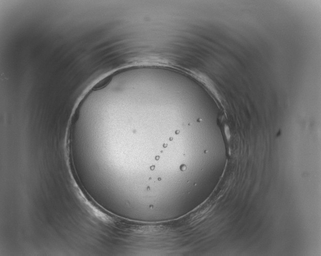 X0000072511387200607290121