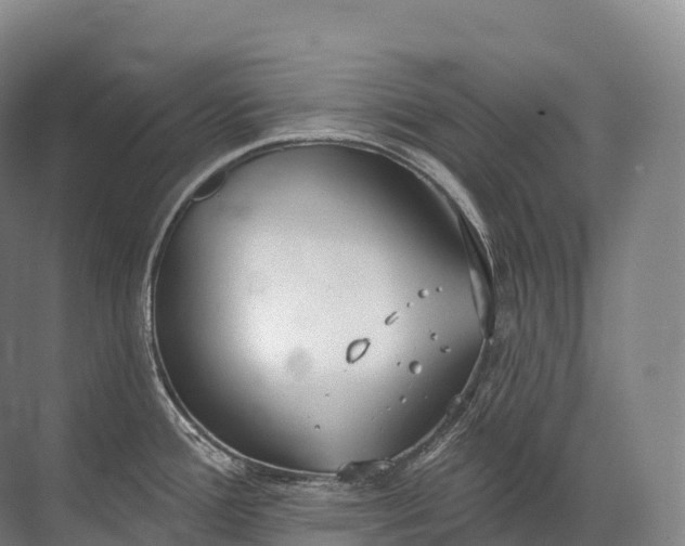 X0000072511388200607290121