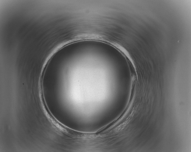 X0000072511389200607290121