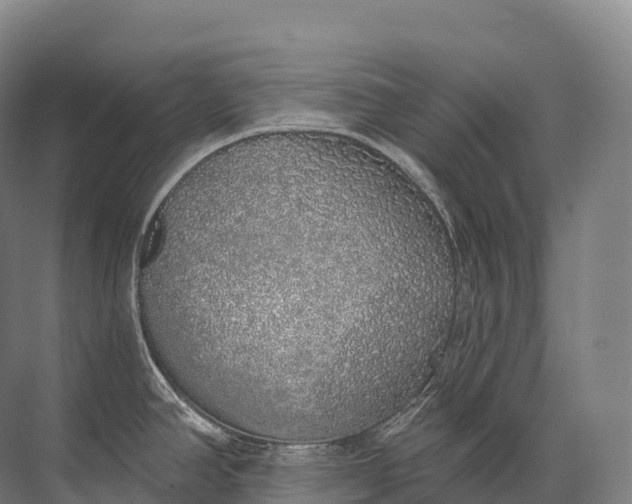 X0000072511390200607290121