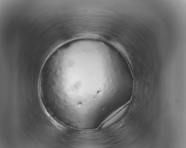 X0000072511391200607290121