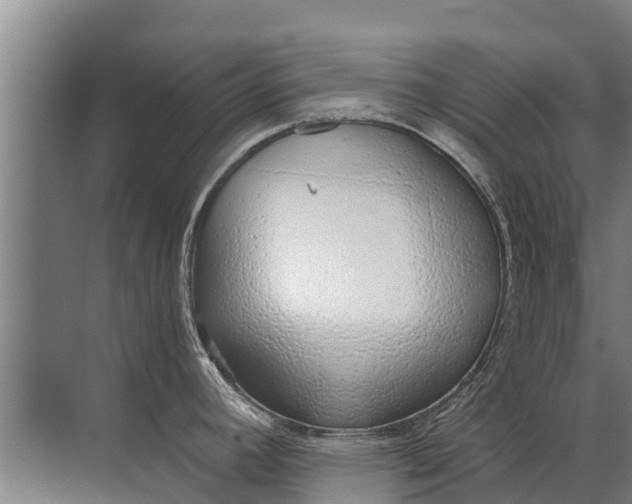 X0000072511392200607290121