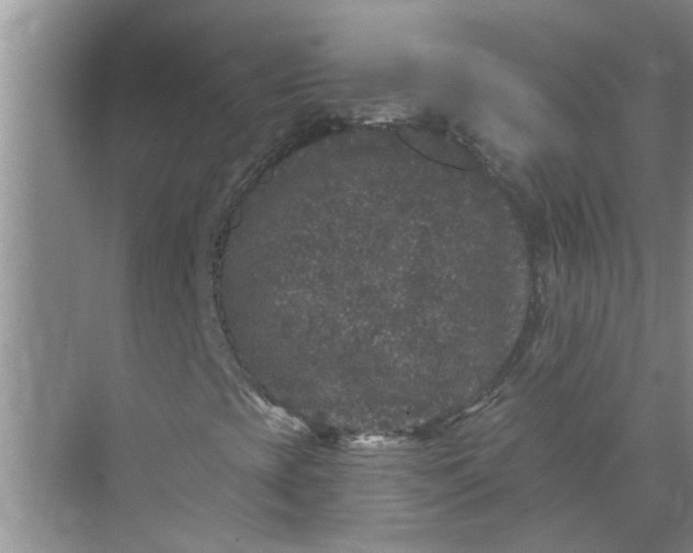 X0000072511393200607290120