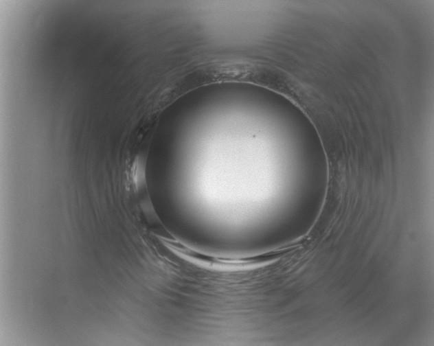 X0000072511394200607290120