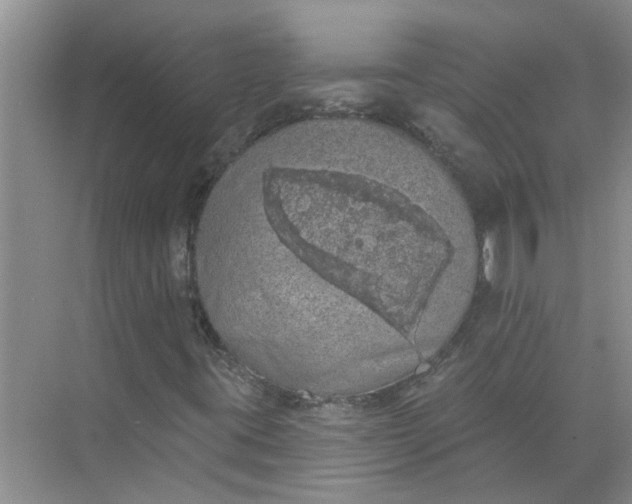 X0000072511395200607290120